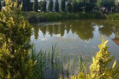 IMG-20160602-WA0000