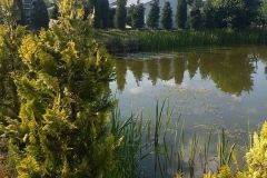 IMG-20160602-WA0007